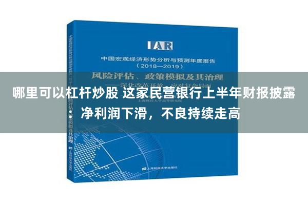 哪里可以杠杆炒股 这家民营银行上半年财报披露：净利润下滑，不良持续走高