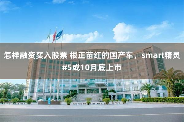 怎样融资买入股票 根正苗红的国产车，smart精灵#5或10月底上市