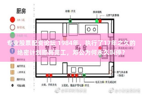 专业股票配资论坛 1984年，执行了17年之久的绝密计划即将完工，邓公为何永久叫停？