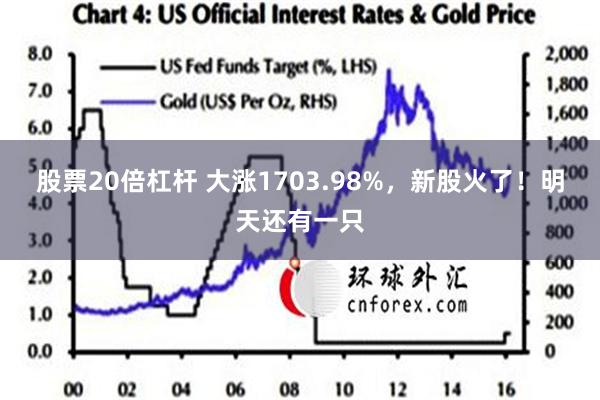 股票20倍杠杆 大涨1703.98%，新股火了！明天还有一只