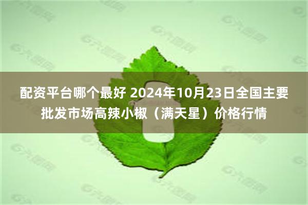 配资平台哪个最好 2024年10月23日全国主要批发市场高辣小椒（满天星）价格行情