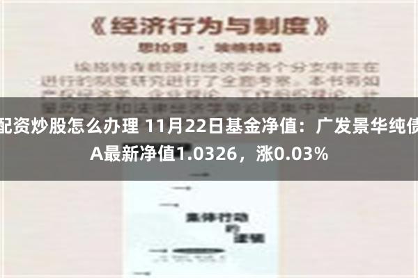 配资炒股怎么办理 11月22日基金净值：广发景华纯债A最新净值1.0326，涨0.03%