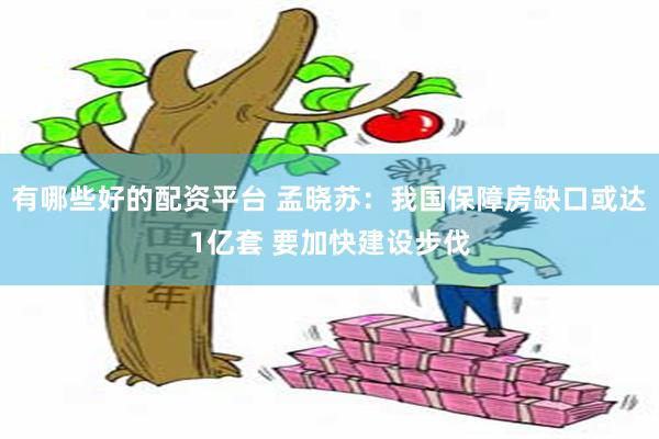 有哪些好的配资平台 孟晓苏：我国保障房缺口或达1亿套 要加快建设步伐