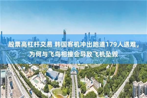 股票高杠杆交易 韩国客机冲出跑道179人遇难，为何与飞鸟相撞会导致飞机坠毁