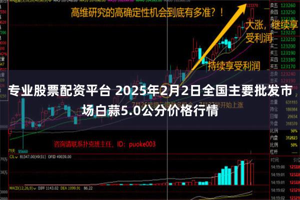 专业股票配资平台 2025年2月2日全国主要批发市场白蒜5.0公分价格行情